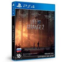 Игра Life is Strange 2 Collectors Edition (PS4, русская версия)